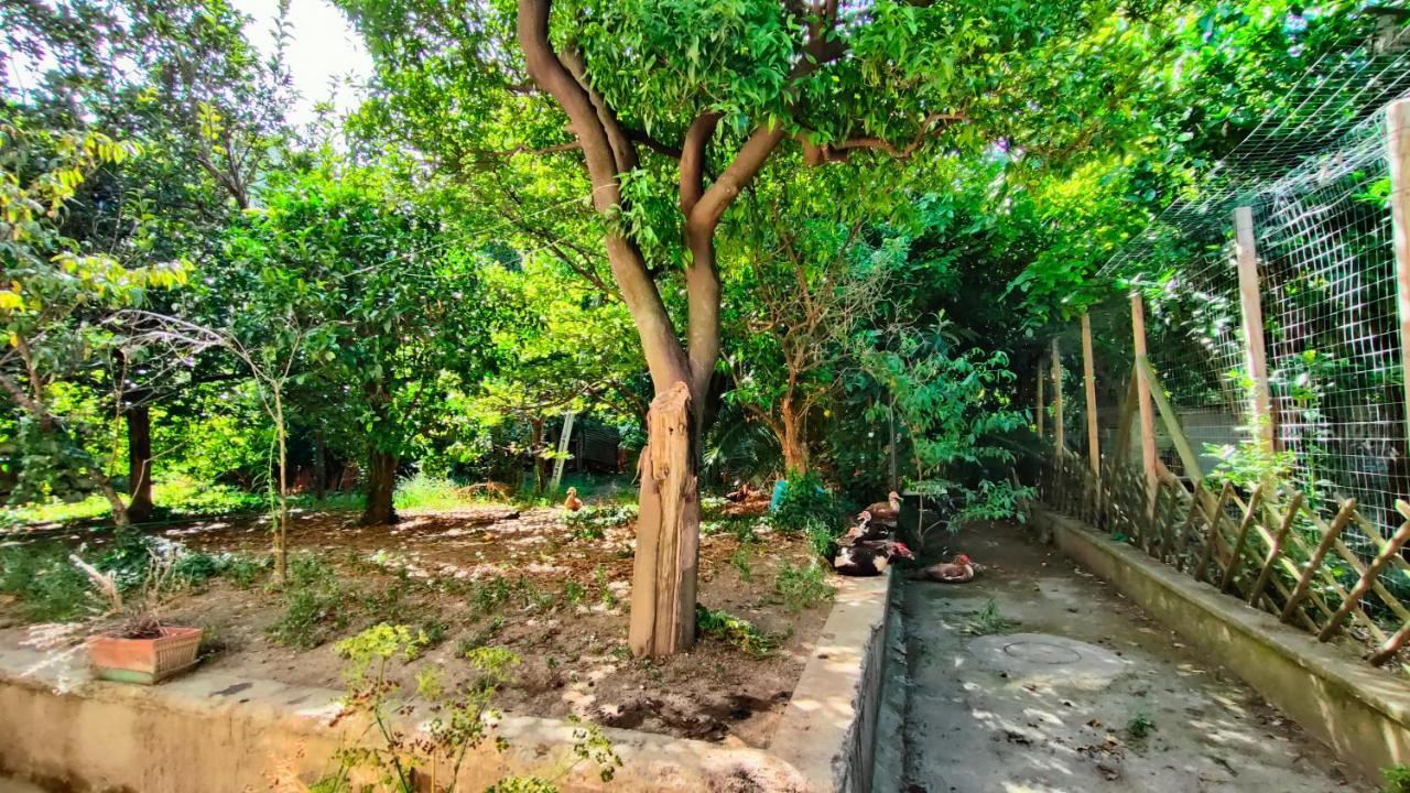 Casa Vacanza "Nonna Matilde" A Meta Di Sorrento, 600Mt Dal Mare, Casa Per 4 Dış mekan fotoğraf